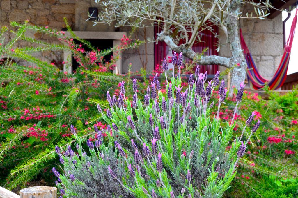Carya Tallaya - Casas De Campo Vale das Éguas Buitenkant foto
